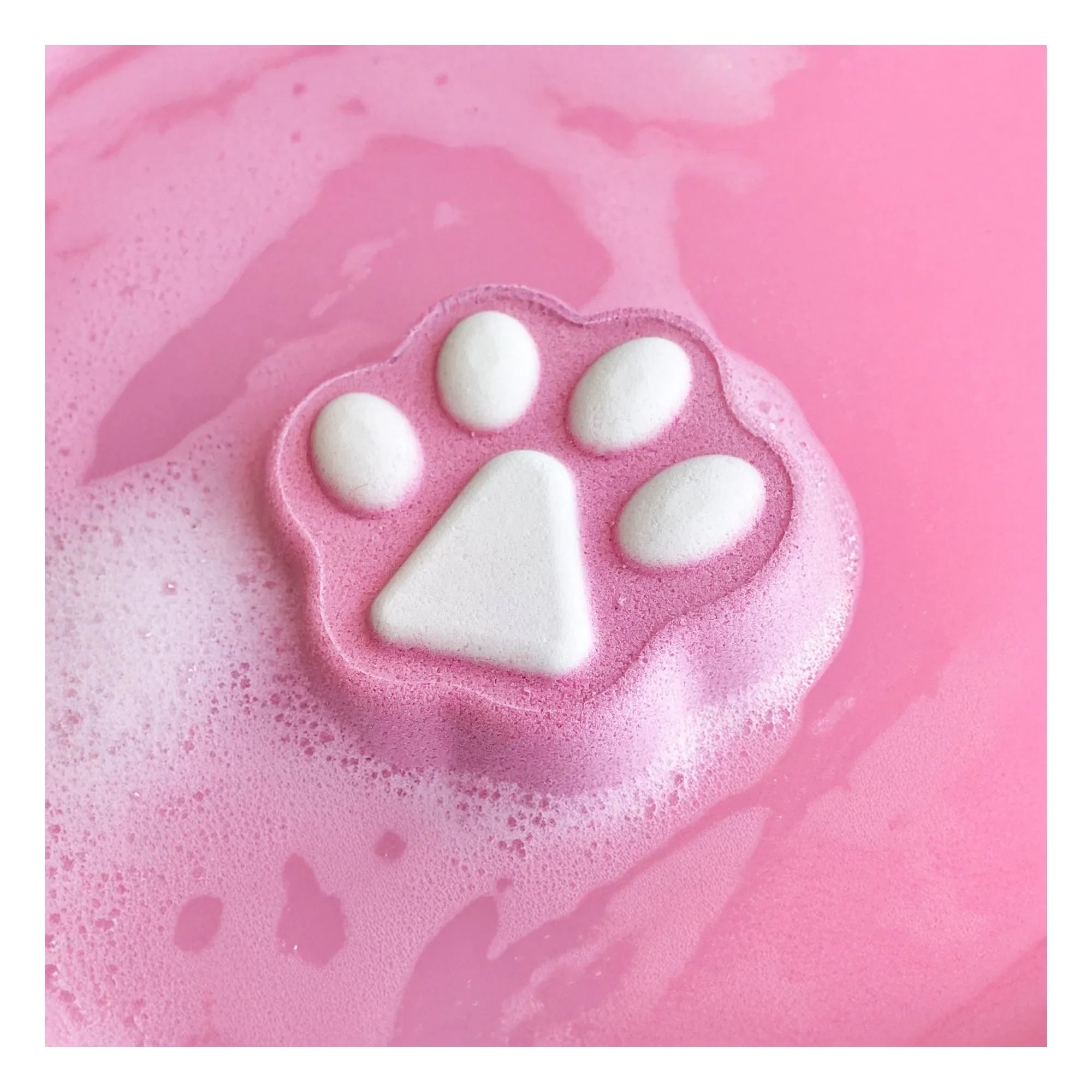 Inuwet - Cat Foam Bombs Set