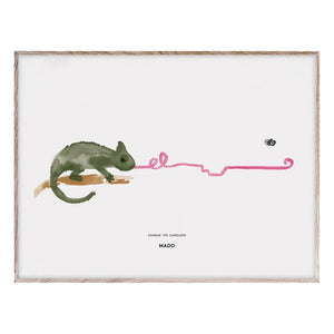 Mado - Charlie the Chameleon Poster 40x30 cm