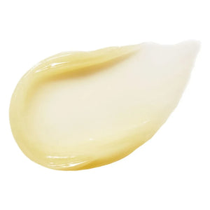 RMS Beauty - Night Lip Mask - 9g | Sleepover