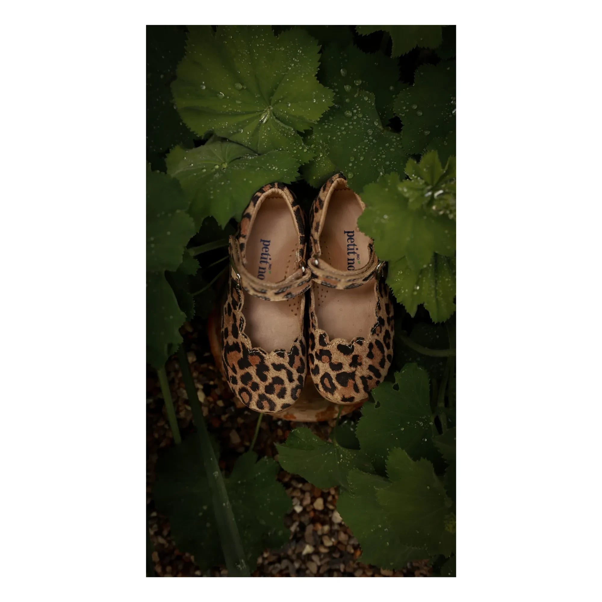 Petit Nord - Scallop Mary Jane Leopard | Brown