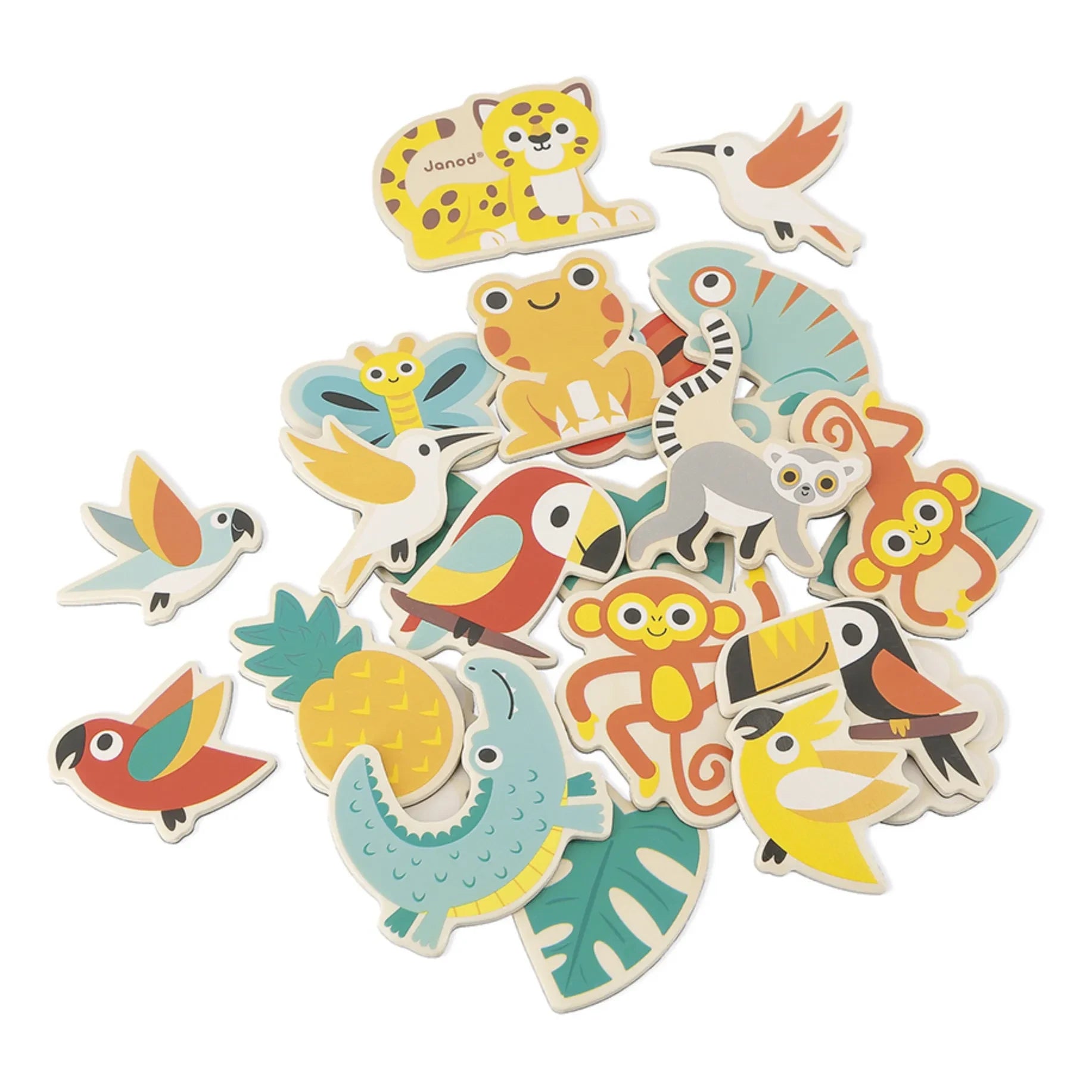 Janod - Tropical Magnets - Set of 24