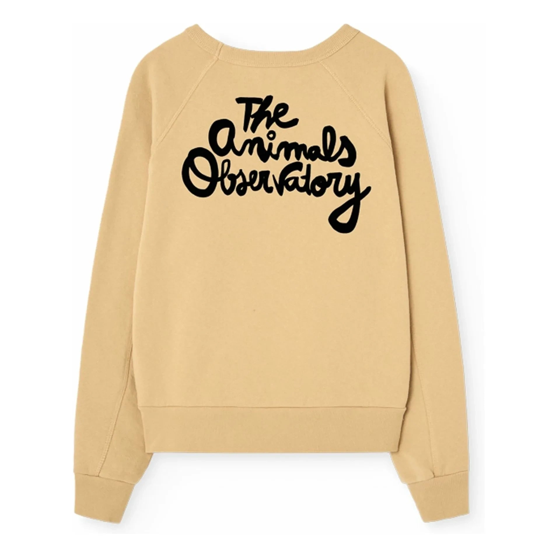The Animals Observatory - Shark Sweatshirt | Beige