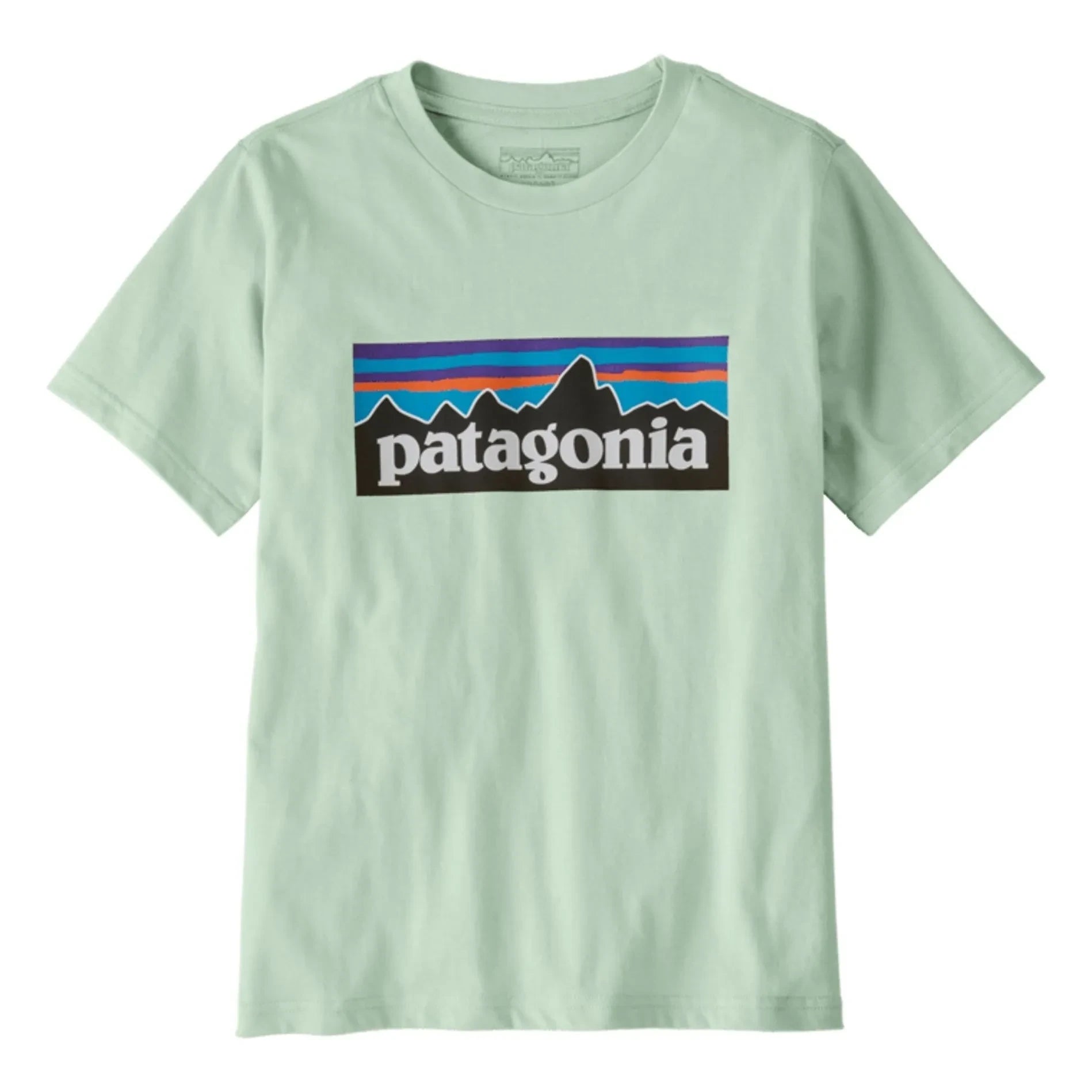 Patagonia - Logo Organic Cotton T-Shirt | Light Blue