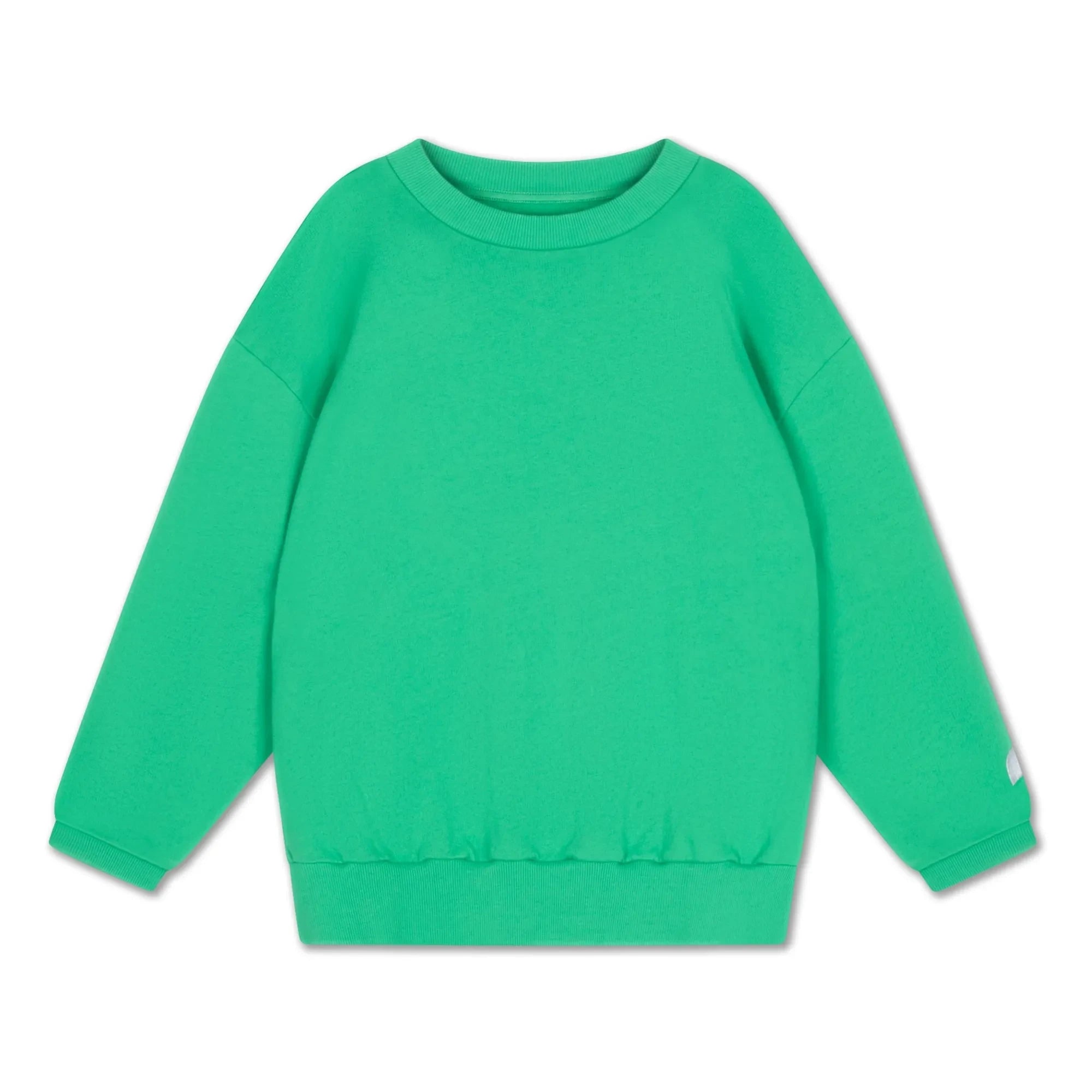 Repose AMS - Oversized Cozydrop Sweatshirt Organic Cotton | Green