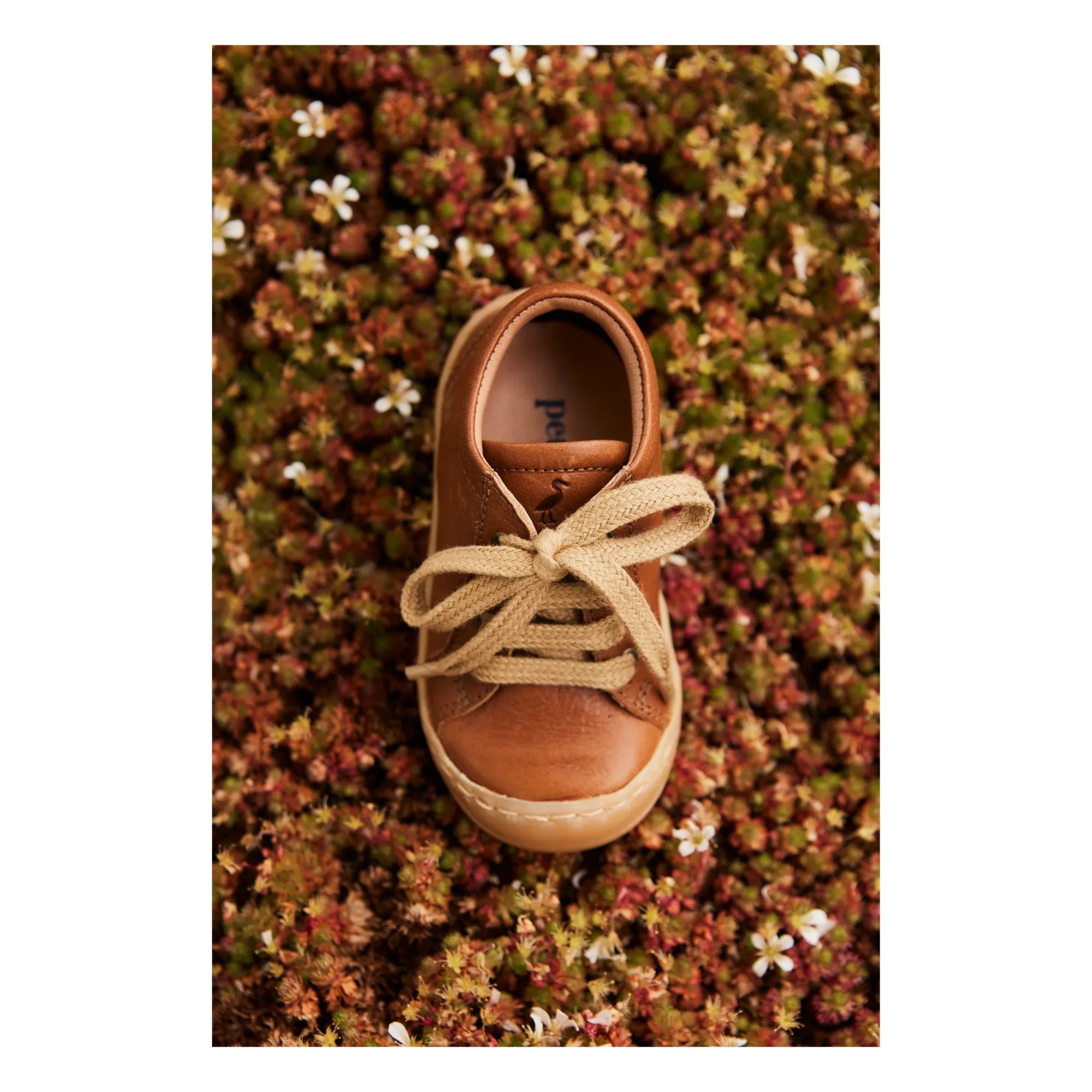 Petit Nord - Casual Lace-Up Sneakers | Cognac