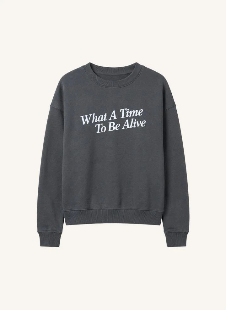 Cos I Said So - "What A Time" Organic Cotton Sweatshirt | Gray
