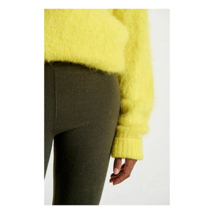 American Vintage - Ypawood Tayt | Forest Green