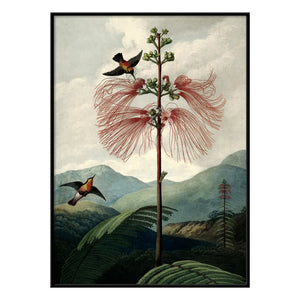 The Dybdahl Co. - Flower Tree Poster