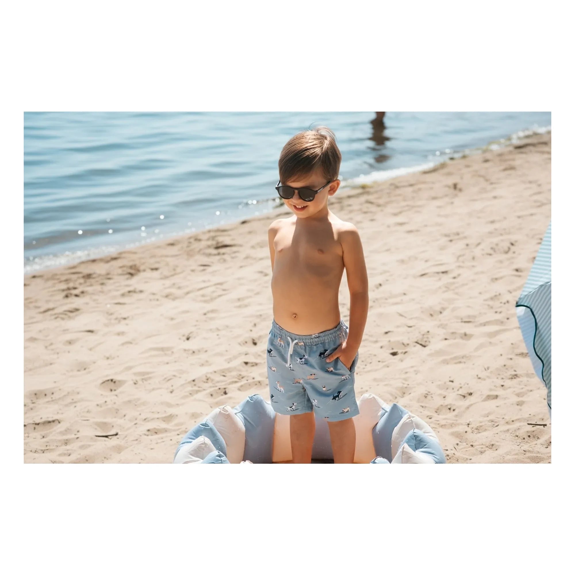 Petit Lem - Recycled Fiber Dog Bath Shorts | Gray Blue