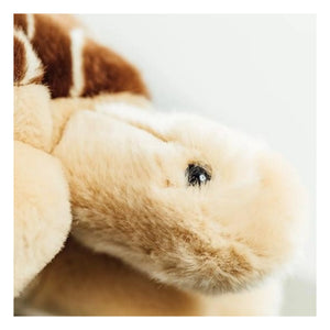 La Pelucherie - My Tortoise Rosalie Plush Toy | Brown