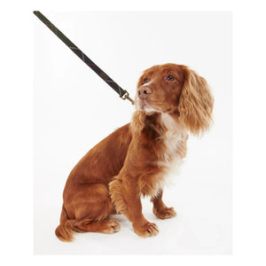 Barbour - Tartan Dog Collar | Dark Brown