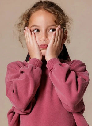 Apaches - Vanya Duck Sweatshirt | Mavi