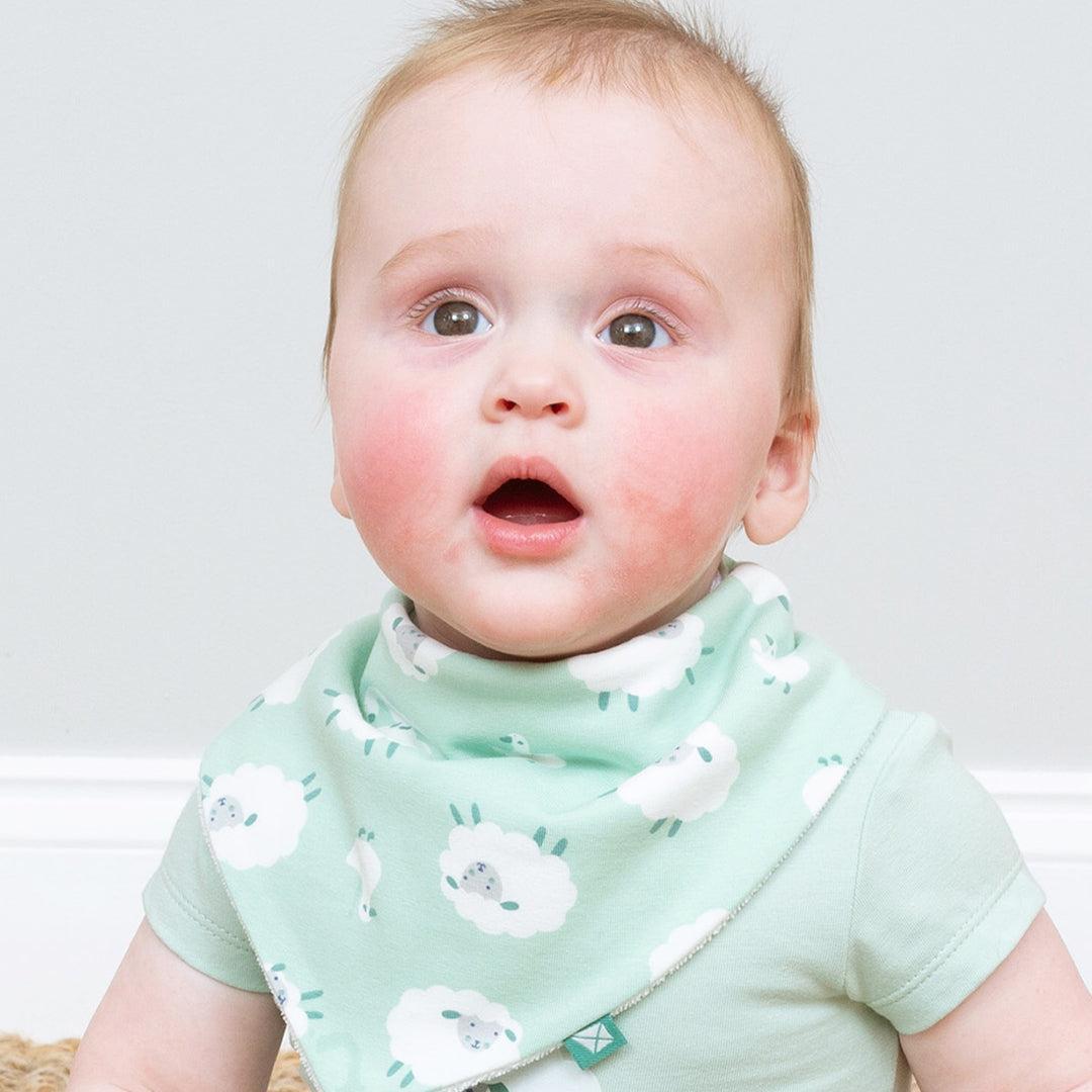 Kite Dribble Bib - Baa Baa Quack-Bibs-Baa Baa Quack-One Size | Natural Baby Shower