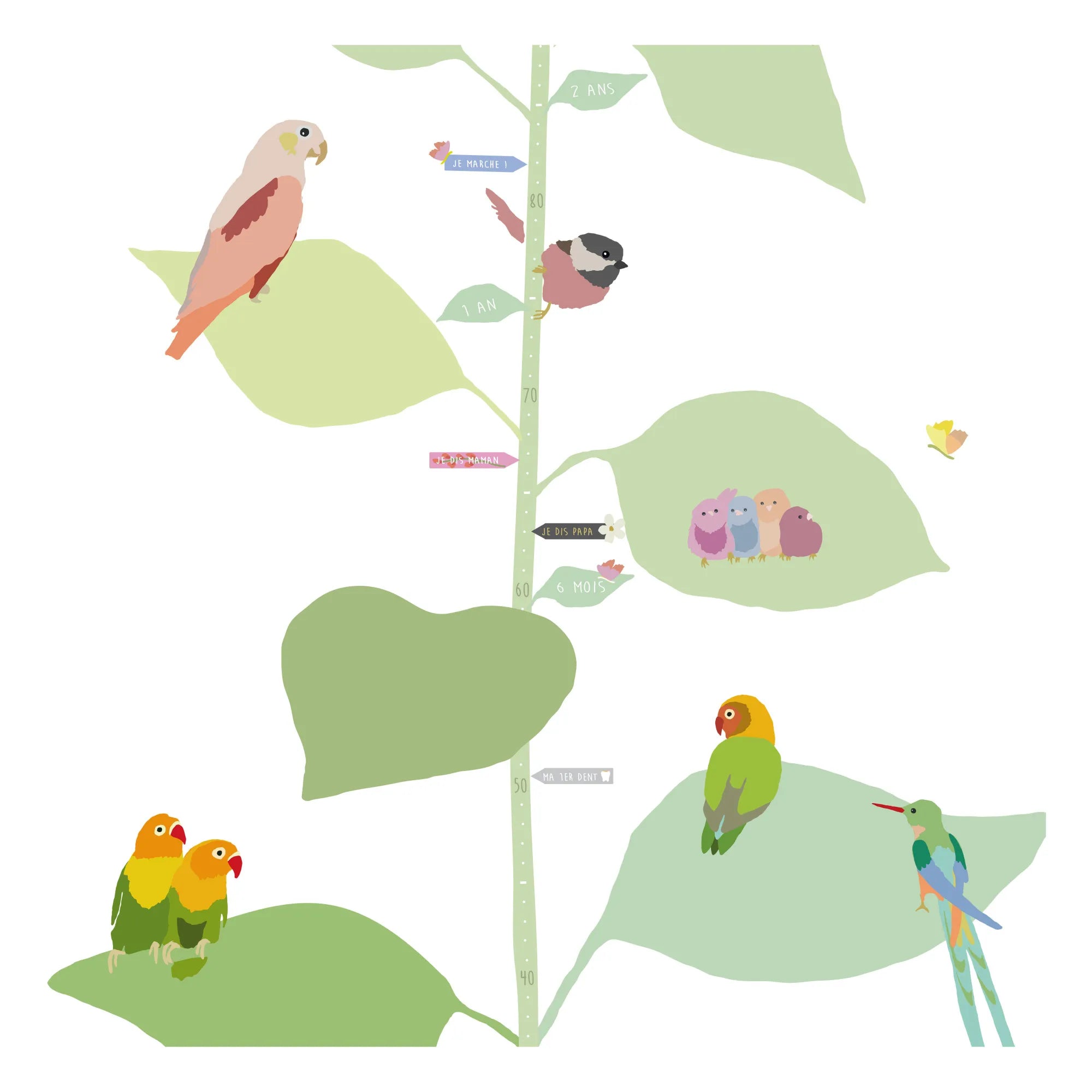 MIMI'lou - With The Birds Boy Growth Chart - FR