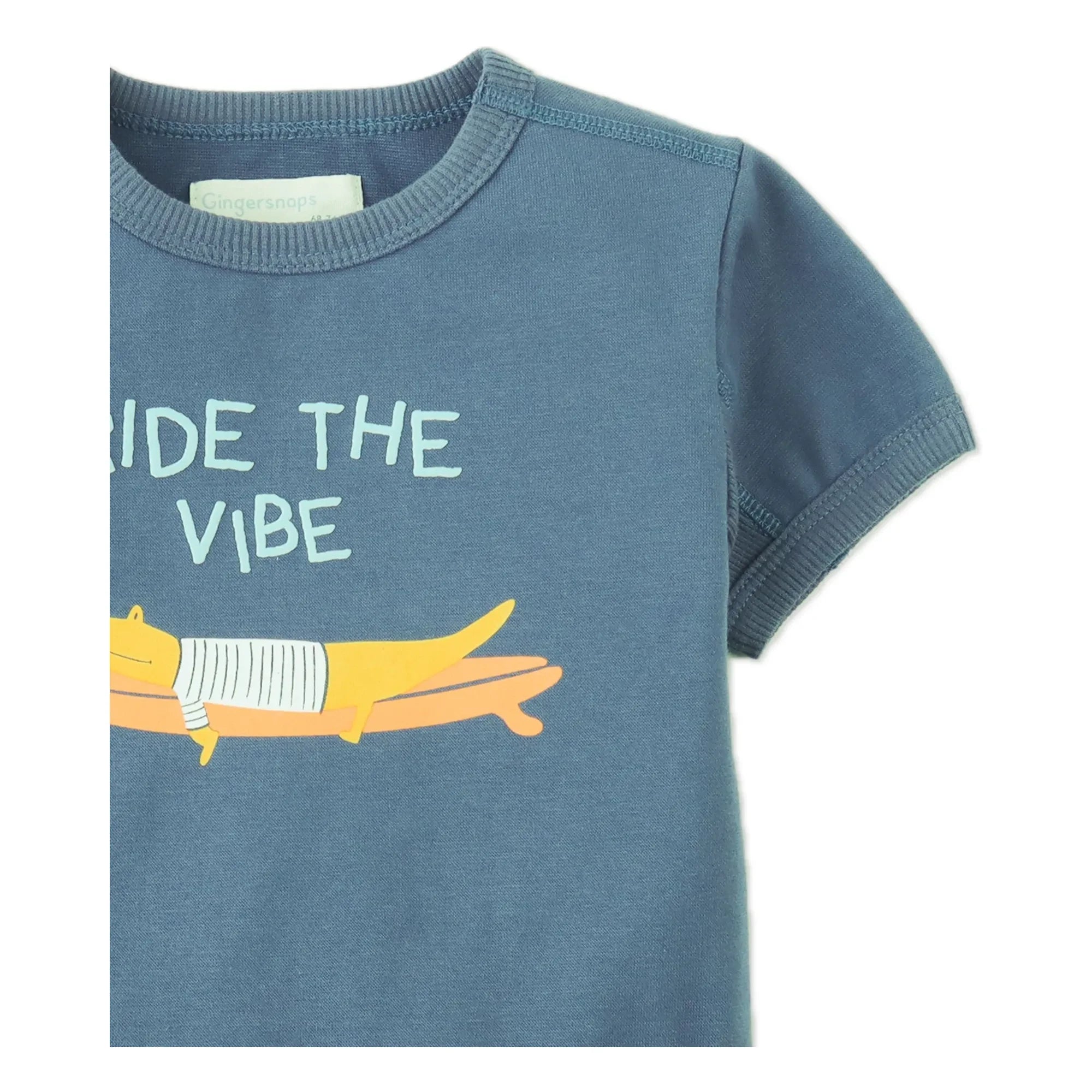 Gingersnaps - Chalice Ride The Vibe T-Shirt | Blue