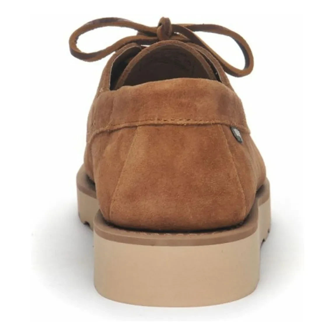Sebago - Askookfield Oled Süet Loafer | Mocha