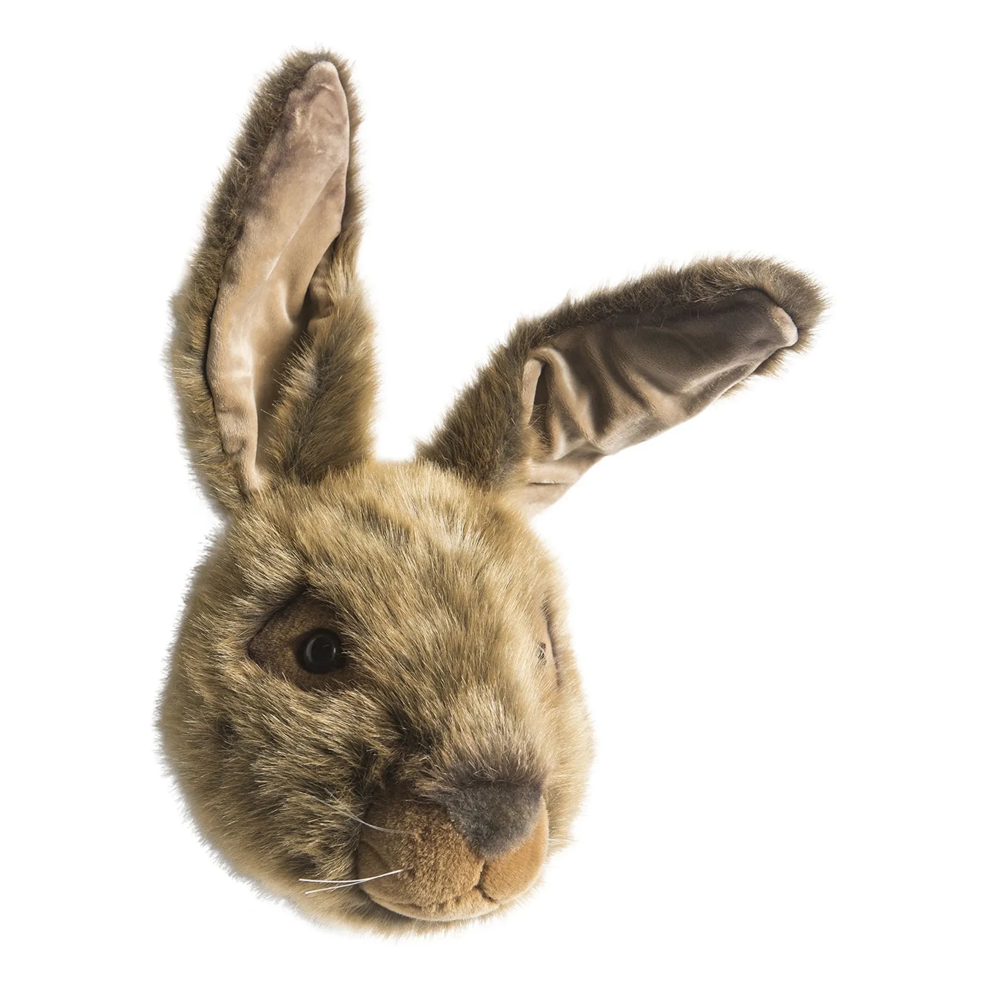 Wild & Soft - Hare Trophy | Brown