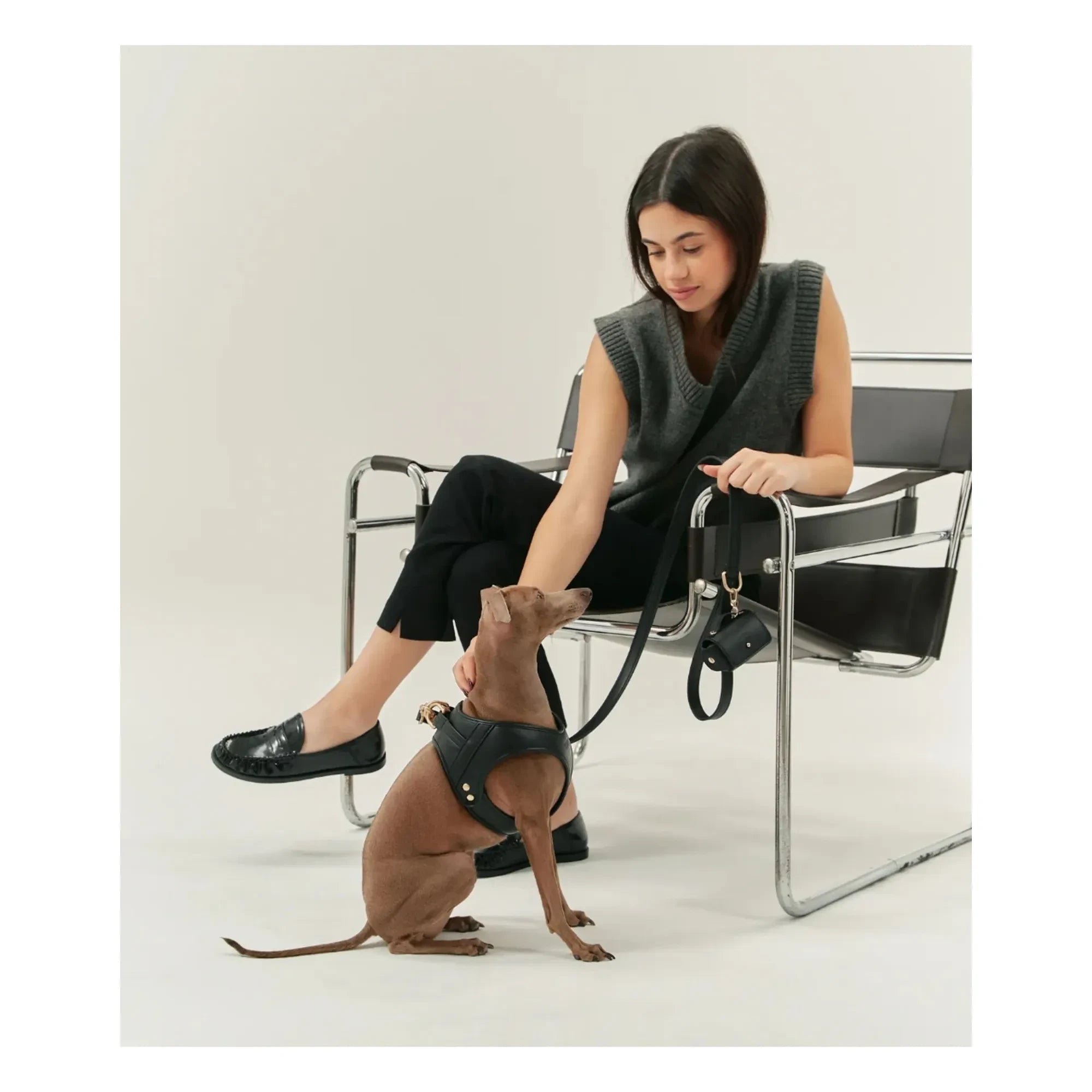 Cafide - Vegan leather dog collar | Black
