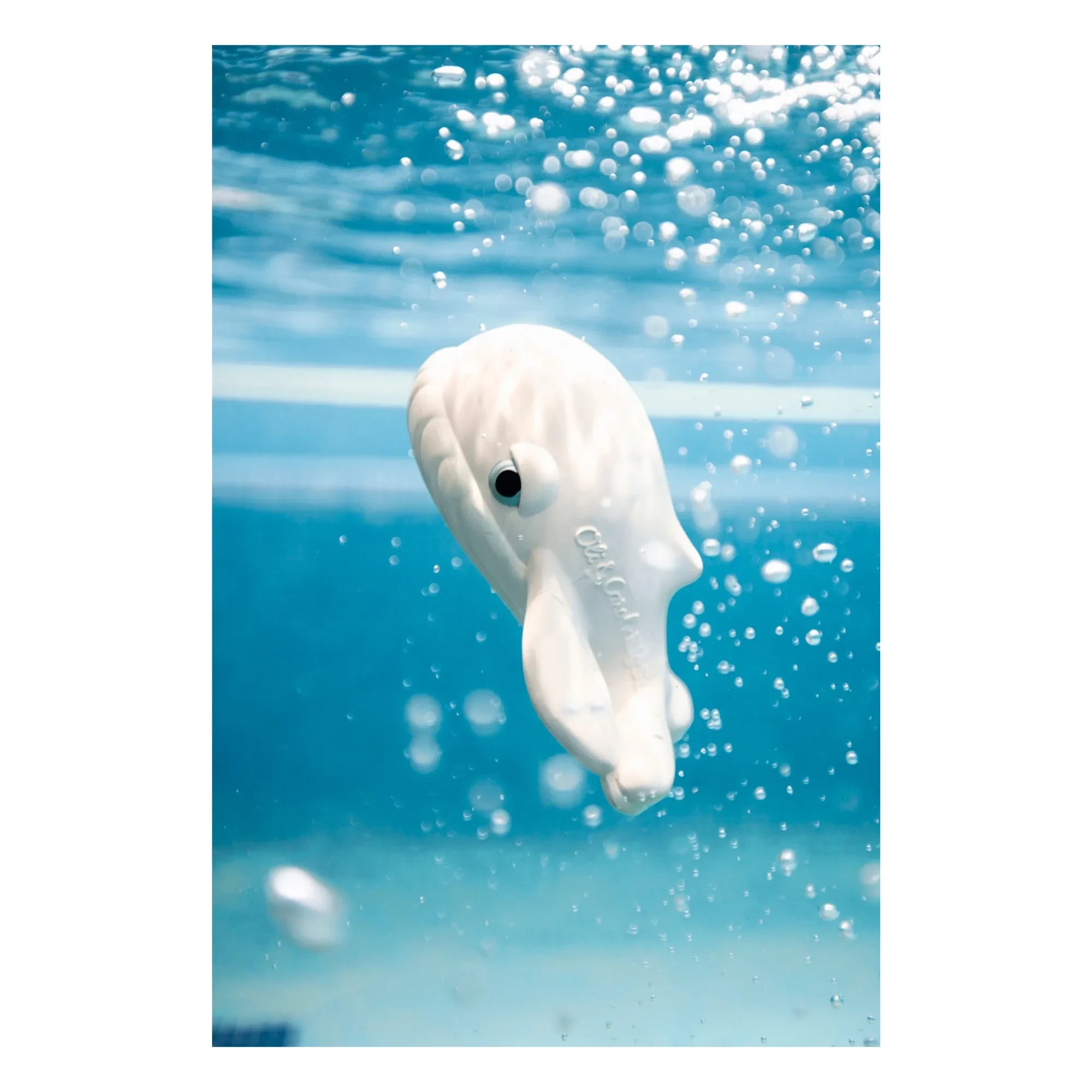 Oli & Carol - Walter Whale Bath Toy