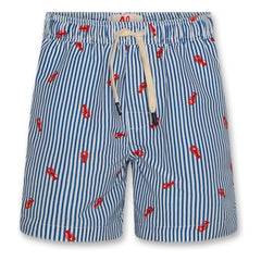 AO76 - Toni Lobster Striped Swimsuit | Blue