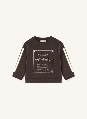 Fliink - Alvin Autumn Organic Cotton Sweatshirt | Brown
