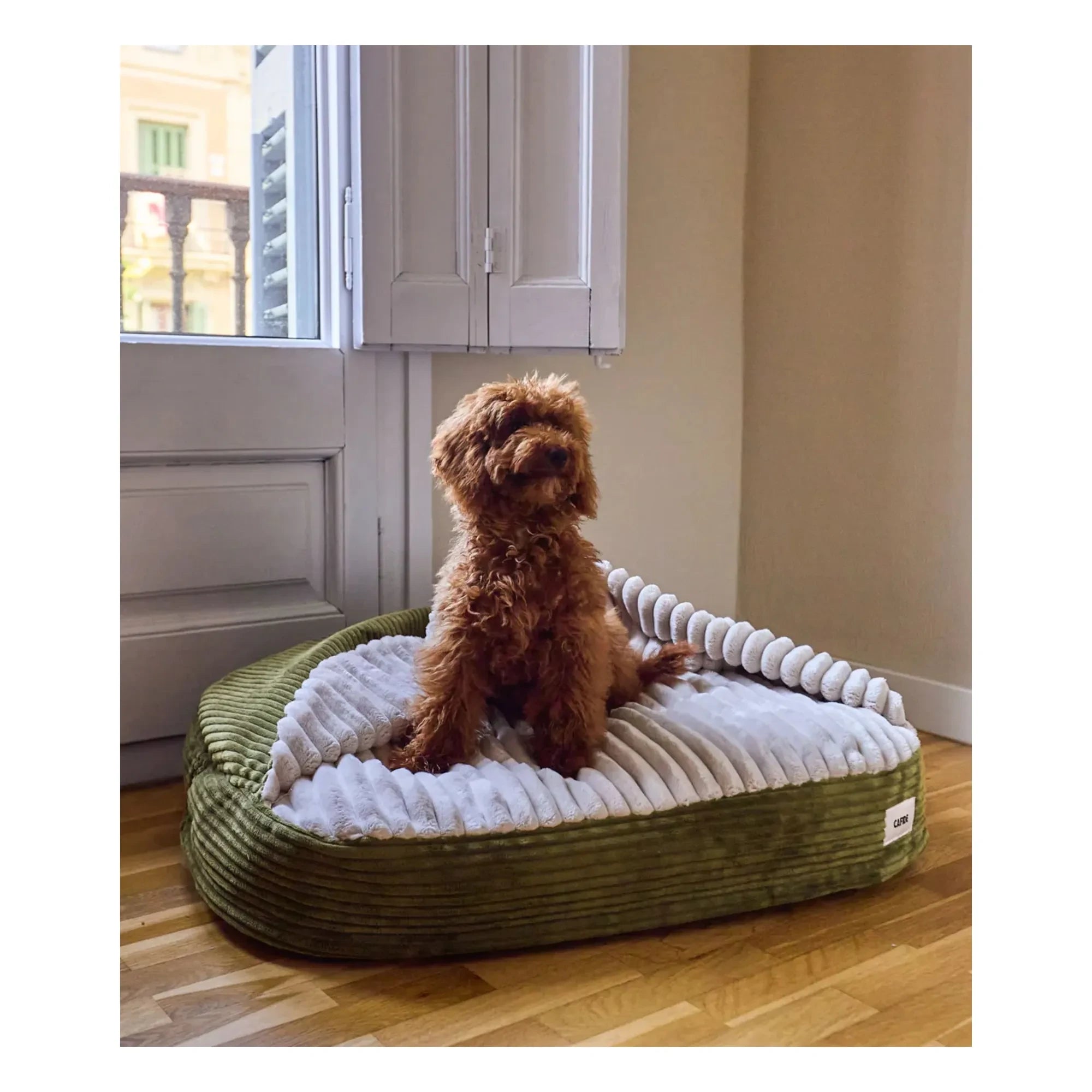 Cafide - Maso textured dog bed | Green