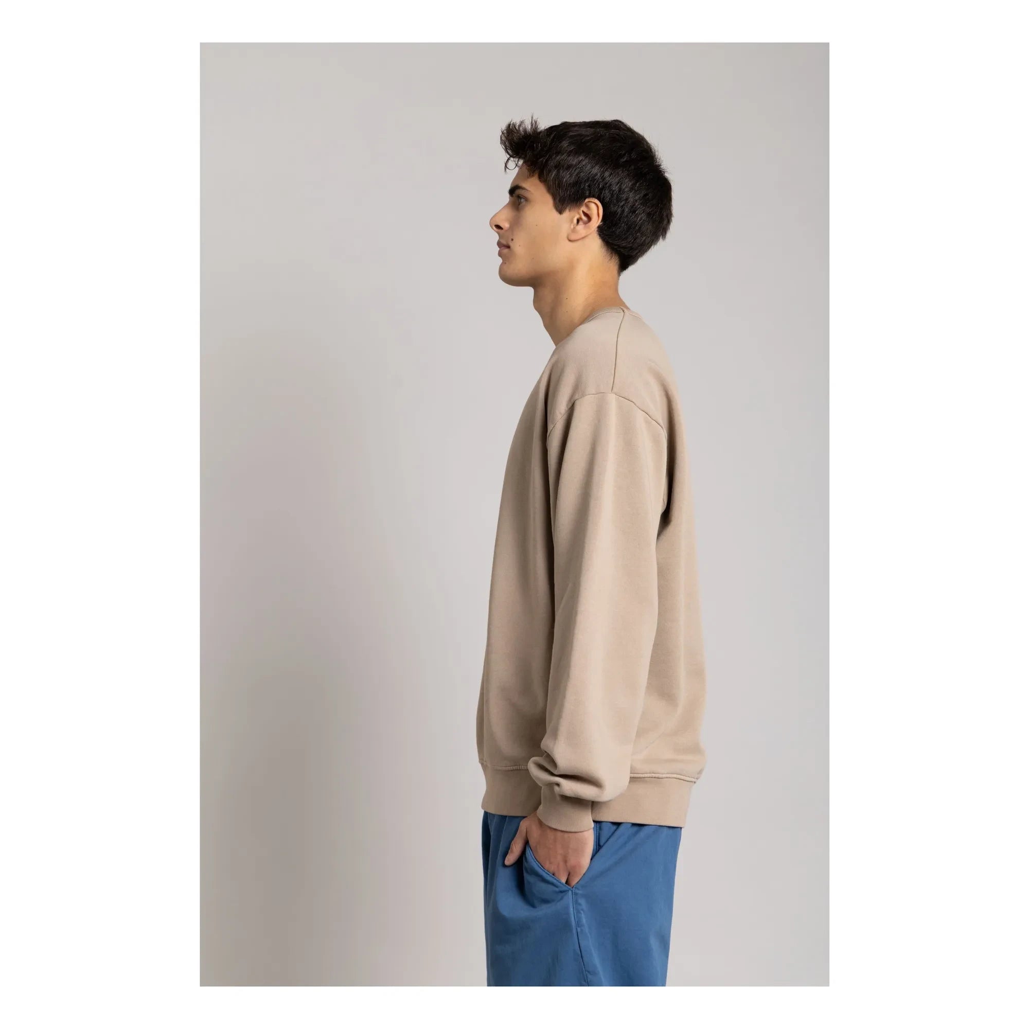 Smallable Man - Bond organic cotton sweatshirt | Taupe brown