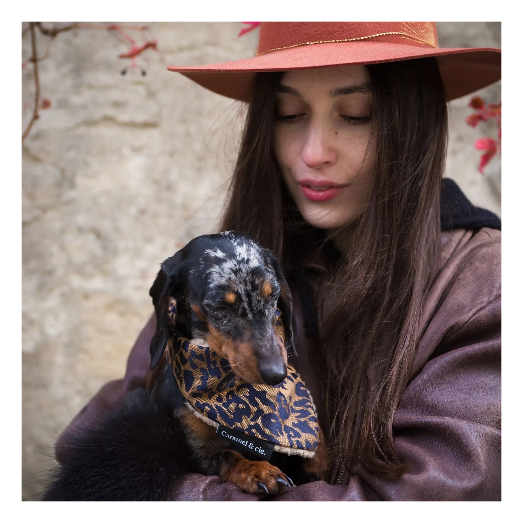 Caramel & Cie - Leopard Dog Bandana | Brown