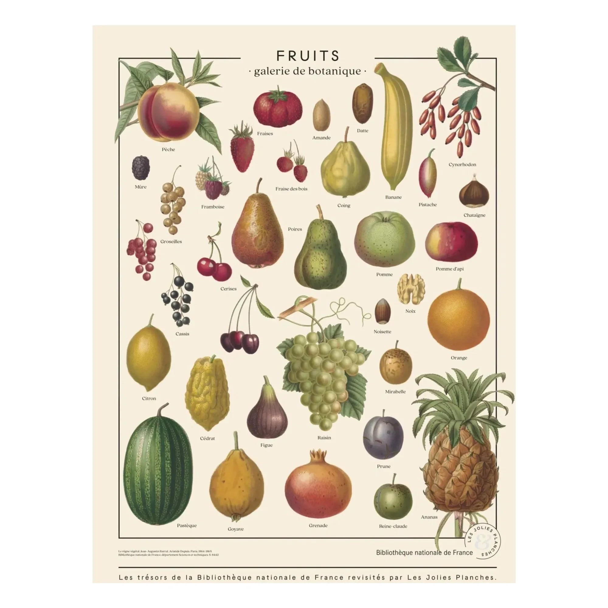 Les Jolies Planches - Fruit Posters