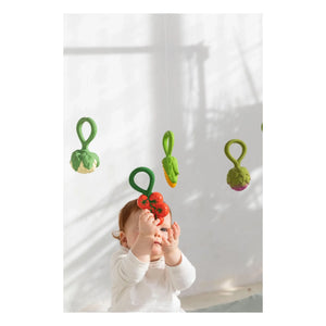 Oli & Carol - Artichoke Rattle