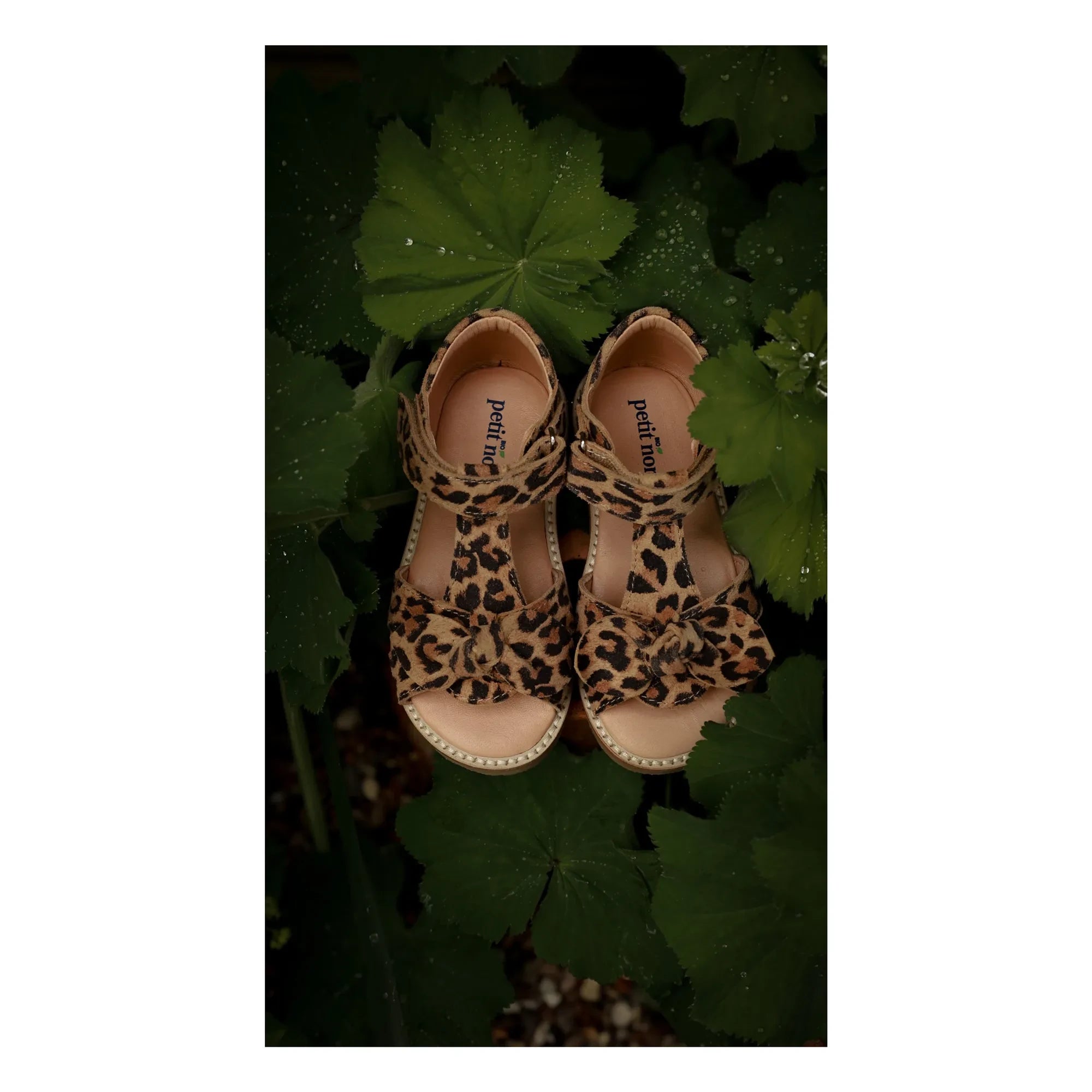 Petit Nord - Leopard Bow Sandals | Brown