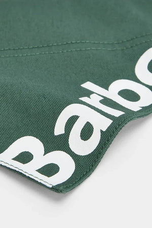 Barbour L/XL Evcil Hayvan Bandanası