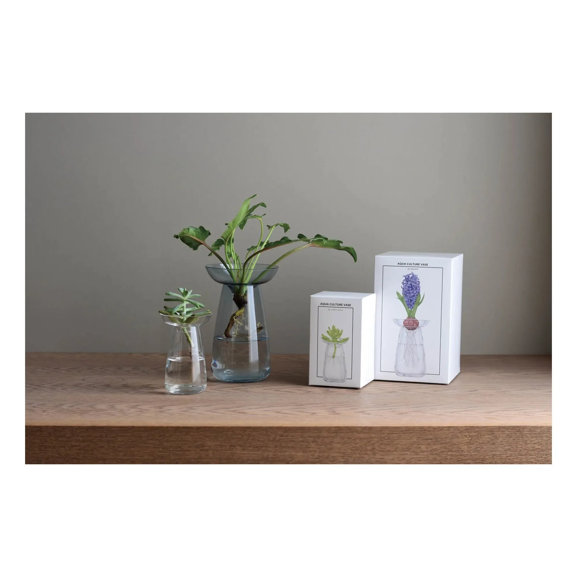 Kinto - Aquaculture Glass Vase | Gray