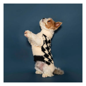 The Furry Folks - Pixmond Sweater | Black