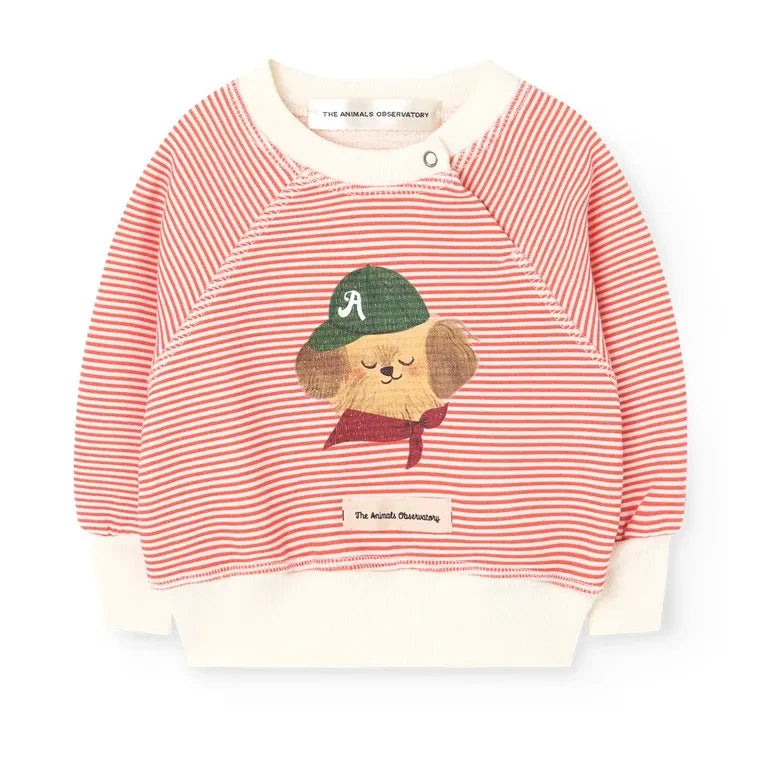 The Animals Observatory - Jackal sweatshirt | Kırmızı