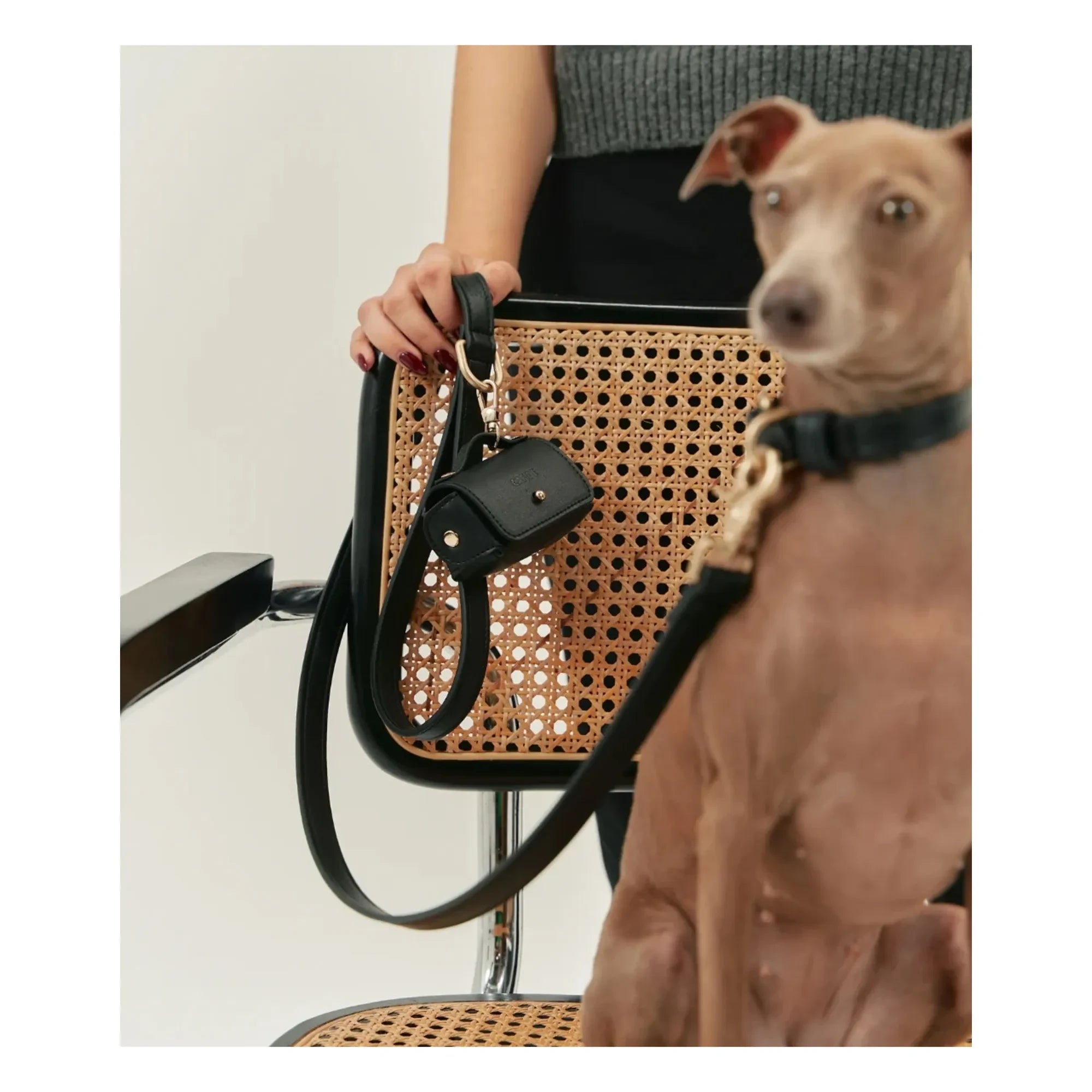 Cafide - Vegan leather dog collar | Black