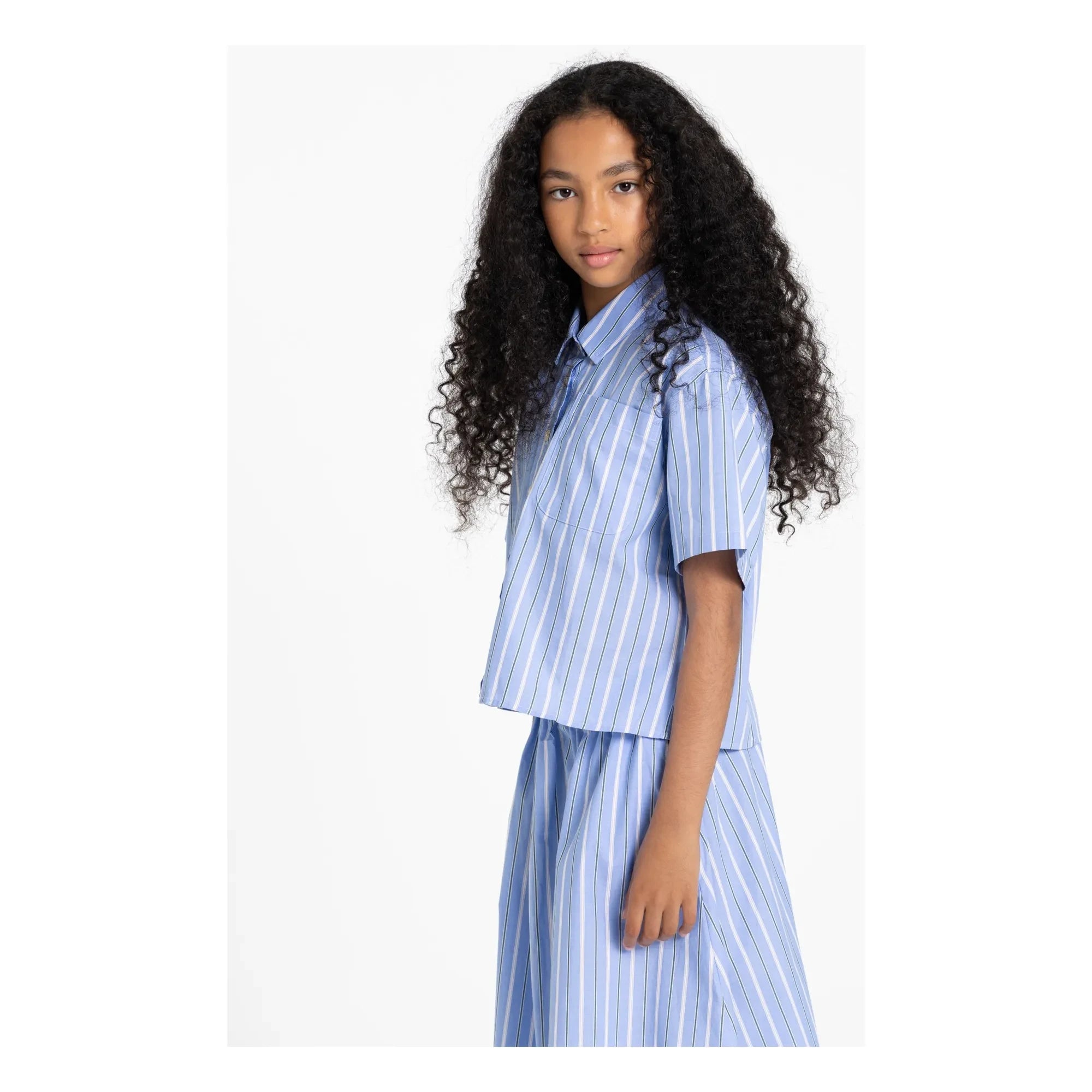 Finger in the Nose - Harper Striped Shirt | Steel