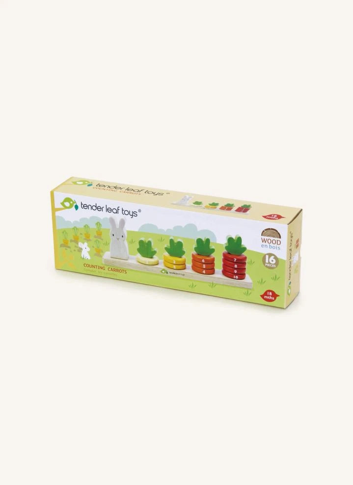 Tender Leaf Toys - Harf Sayma Oyuncağı