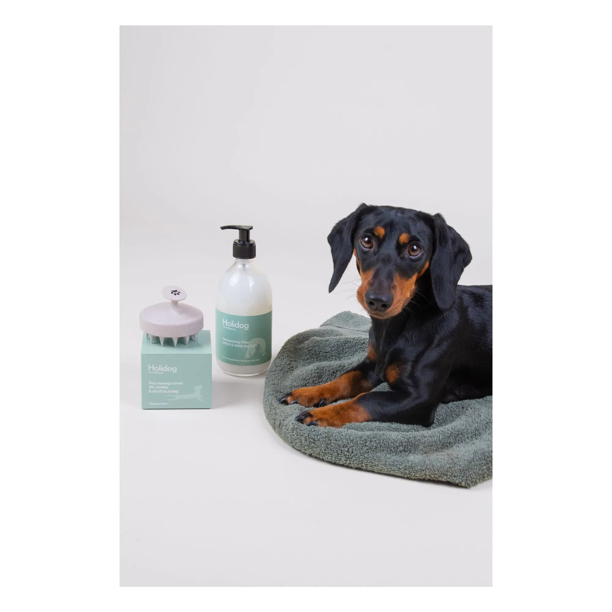 Holidermie - Holidog Dog Massage Brush