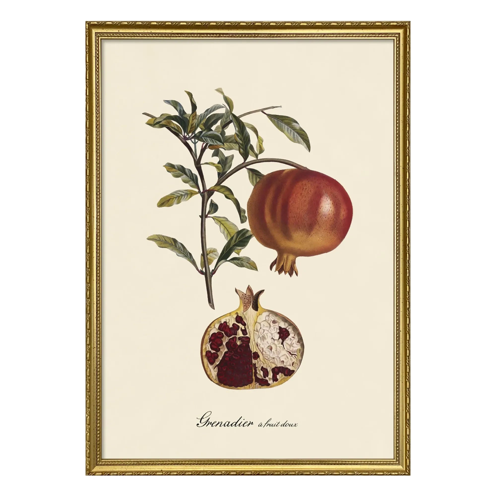 The Dybdahl Co. - Sweet Fruit Grenadier Poster