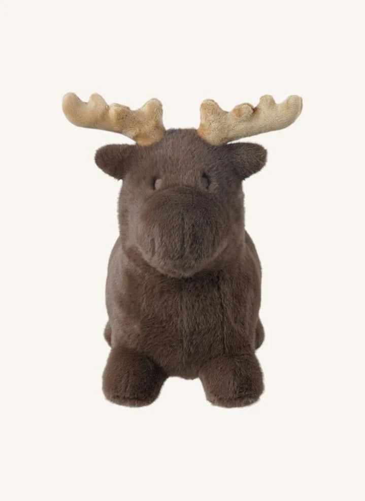 Wild & Soft - Bouncing Momentum | Brown