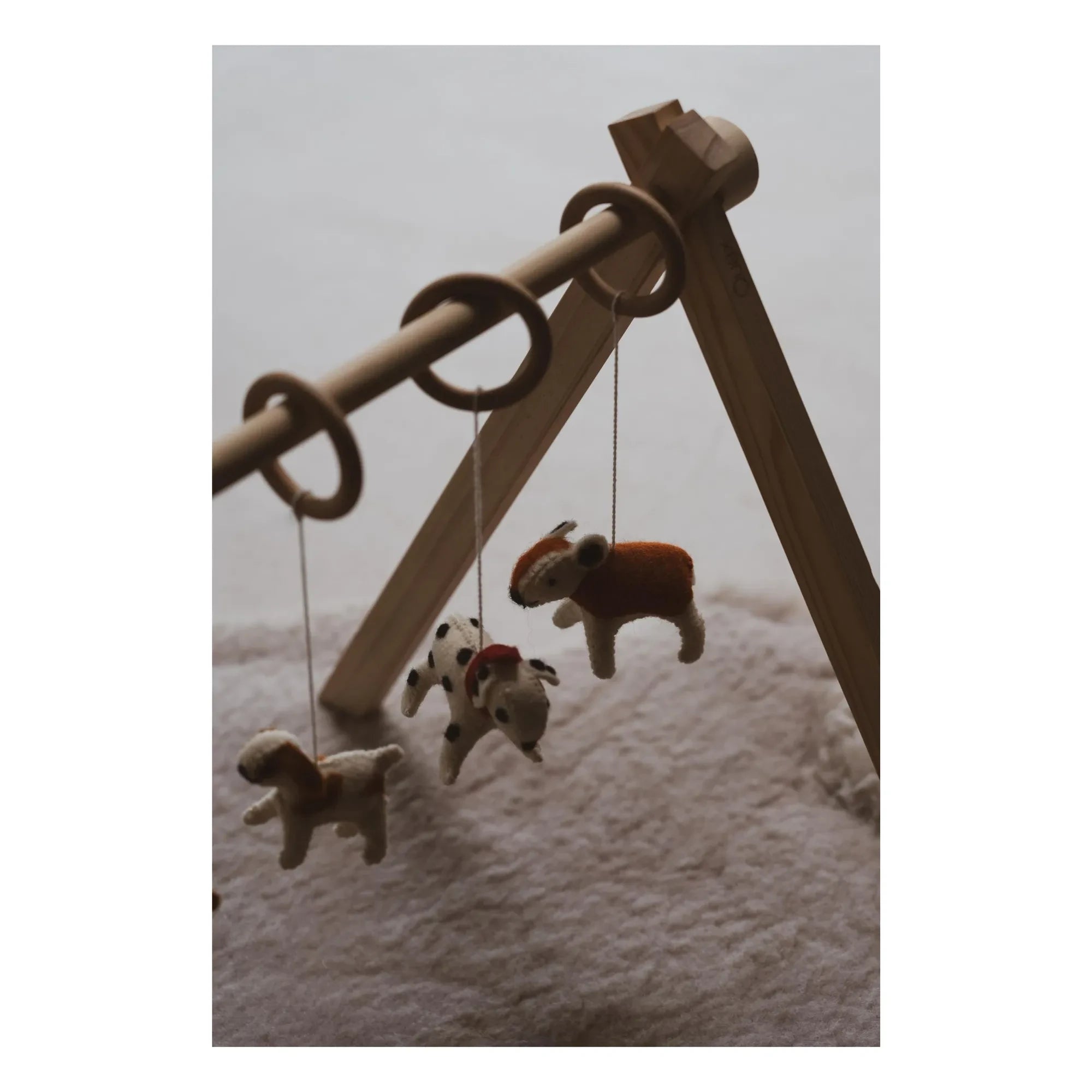 Quax - Dog Collar Toy Set