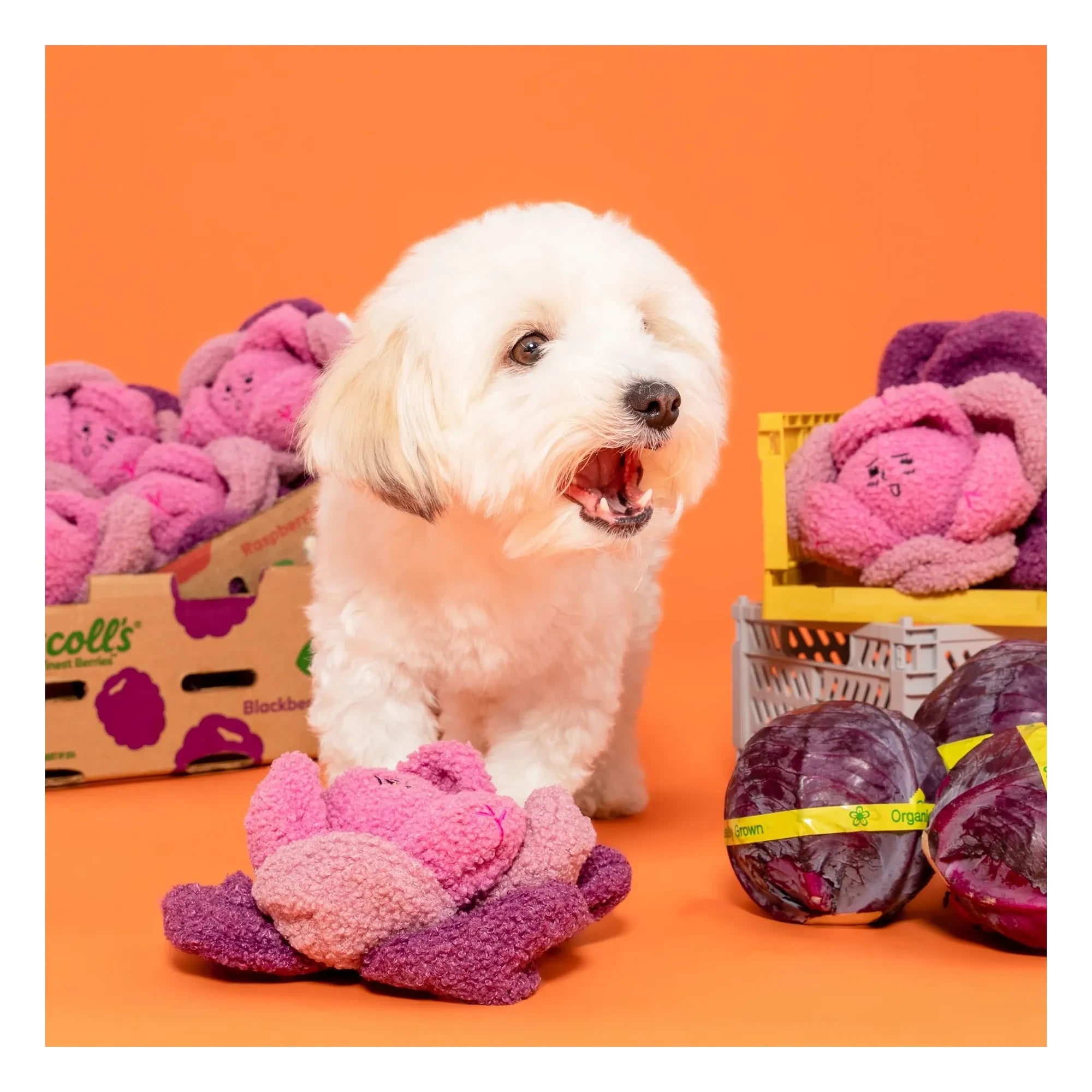 The Furry Folks - Red Cabbage Chew Toy | Pink