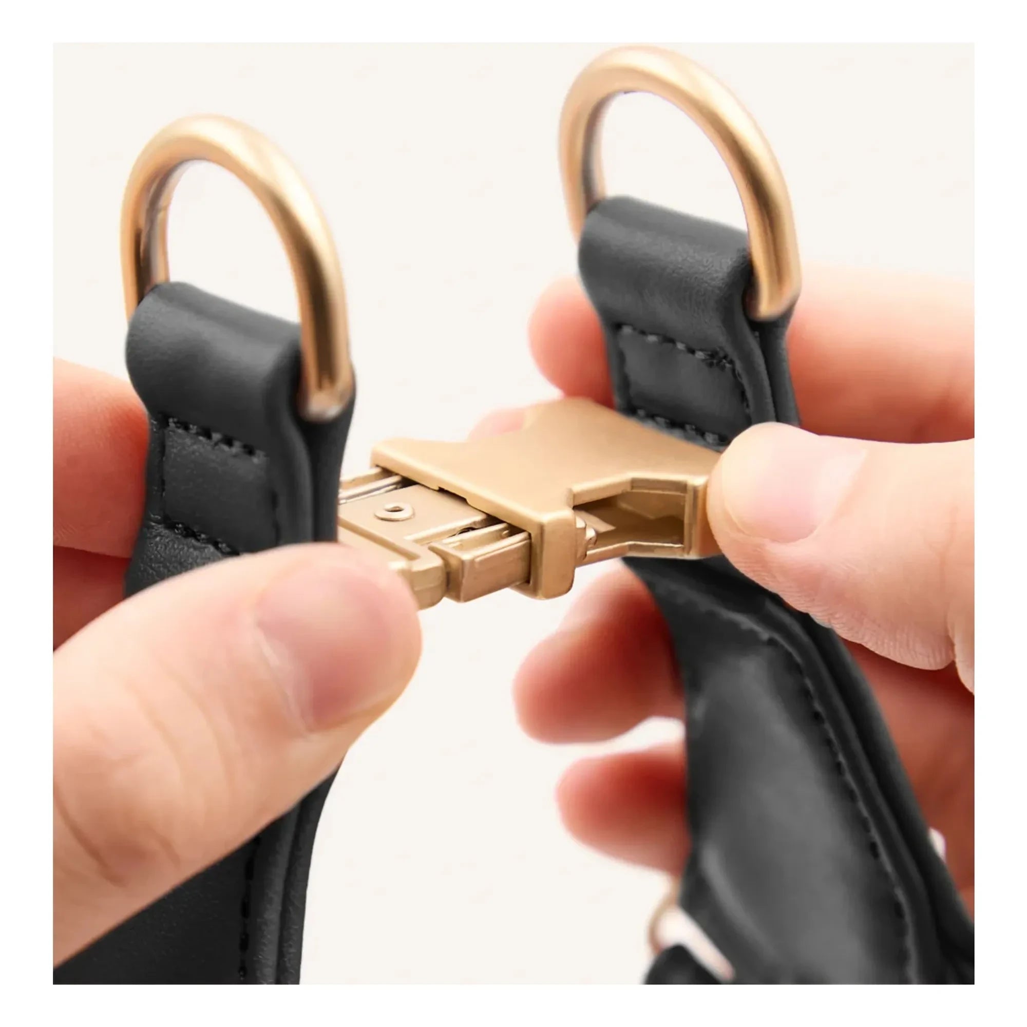 Cafide - Vegan leather dog collar Step in | Black