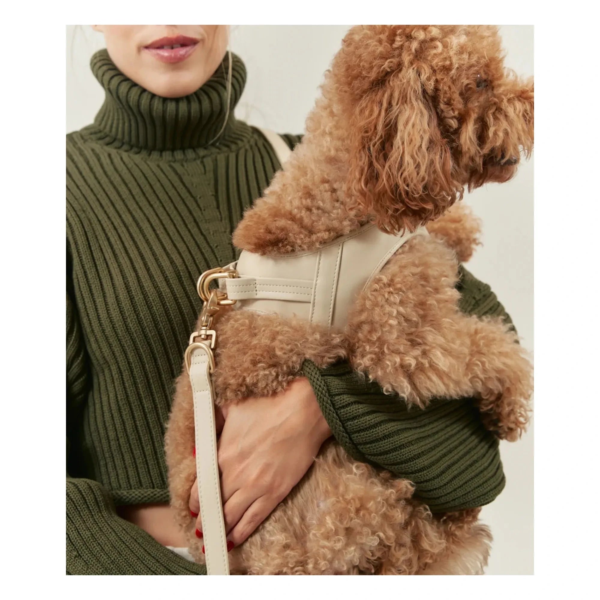 Cafide - Vegan Leather Dog Collar | Beige