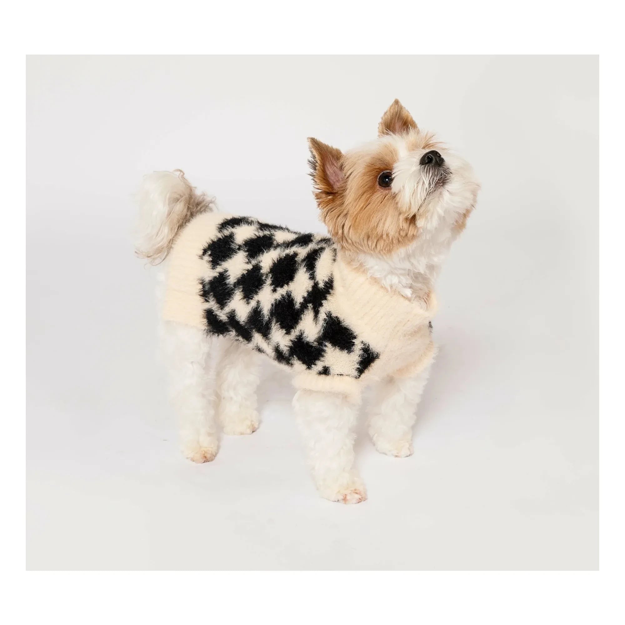 The Furry Folks - Pixmond Sweater | Black