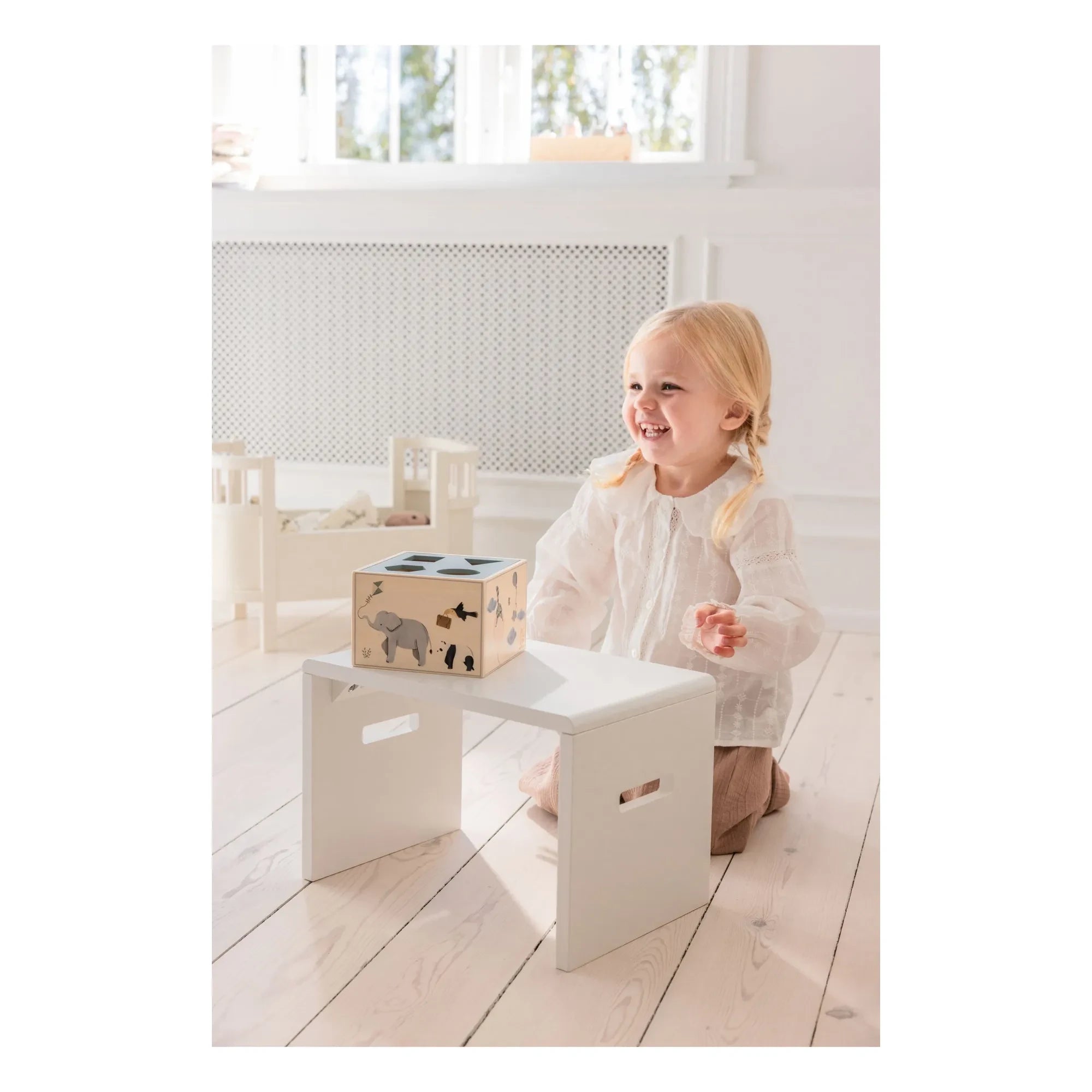 Sebra - World of Sebra Shape Box