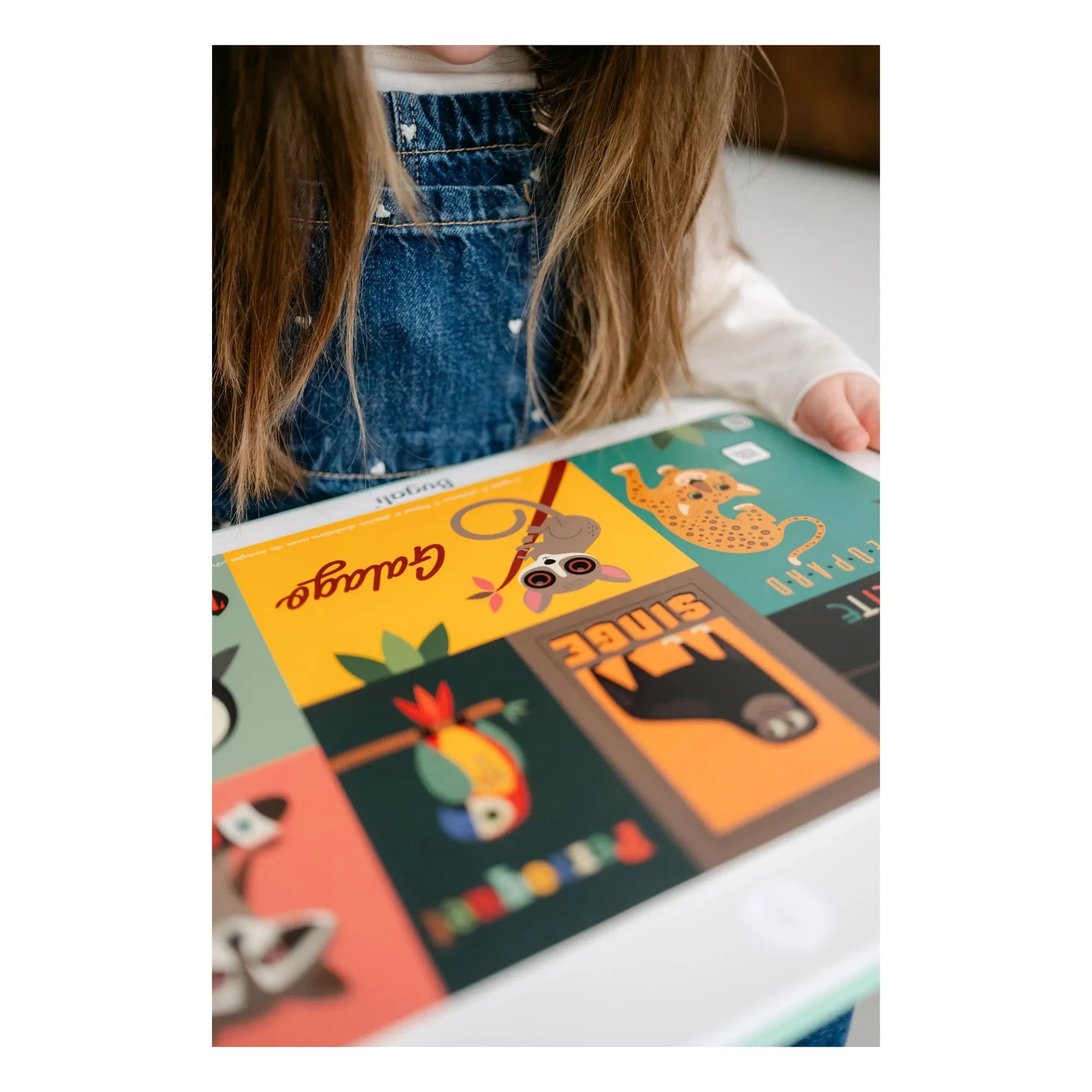 Bugali - 5-Pack Zoom! Card Set