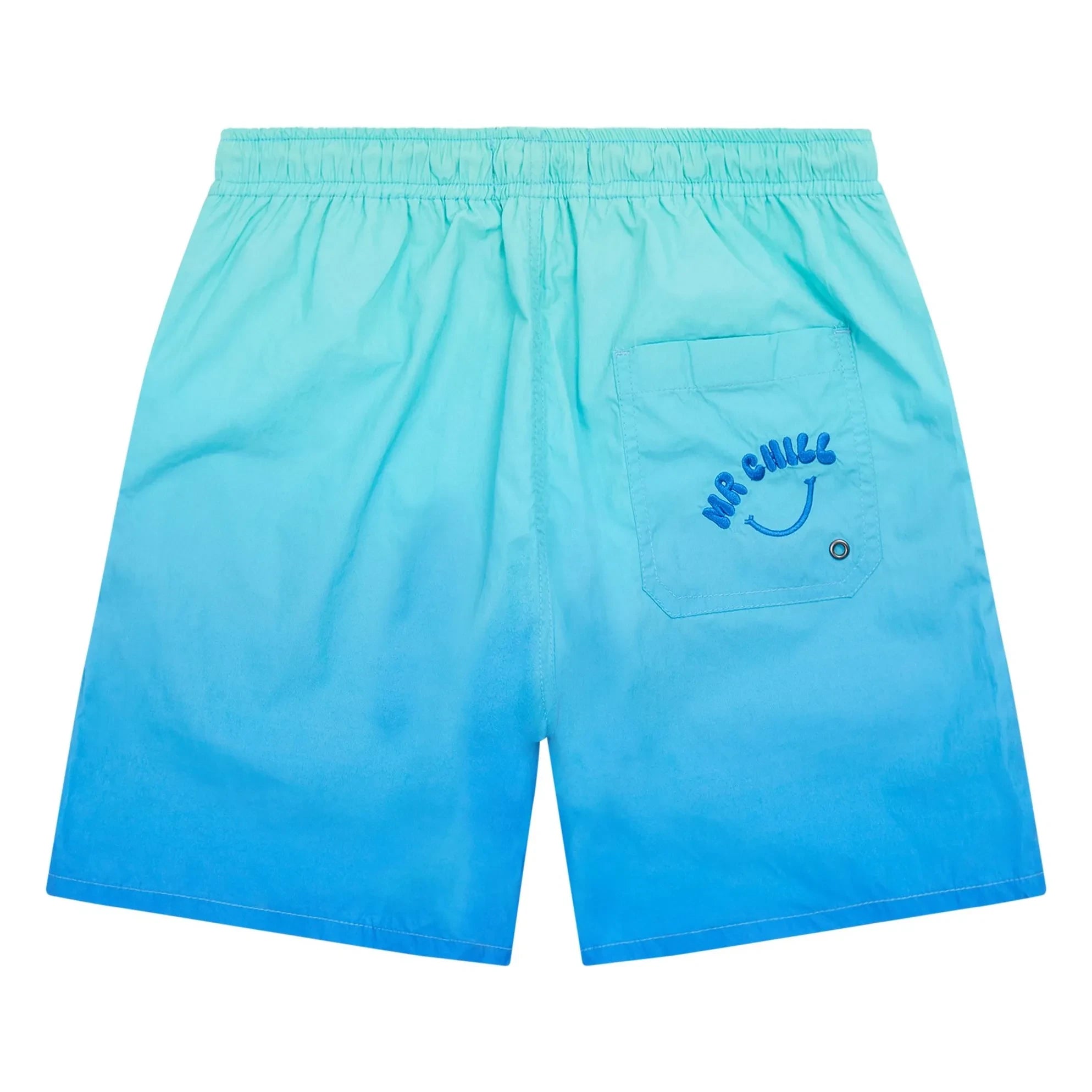 Hundred Pieces - Wave Swim Shorts | Blue-Green