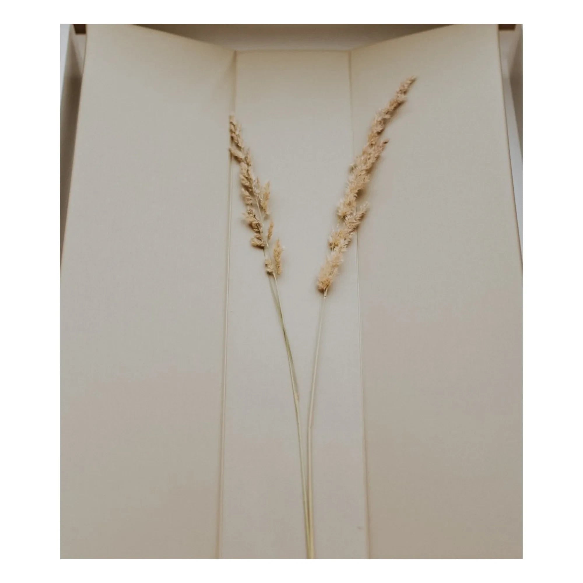 Quax - Changing Mat - 67 x 44 cm | Cotton